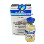 آمفوتریسین بی