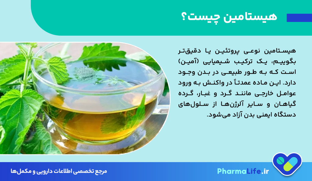 آنتی هیستامین های طبیعی برای درمان حساسیت فصلی | معرفی بهترین مواد غذایی و گیاهان ضد آلرژی