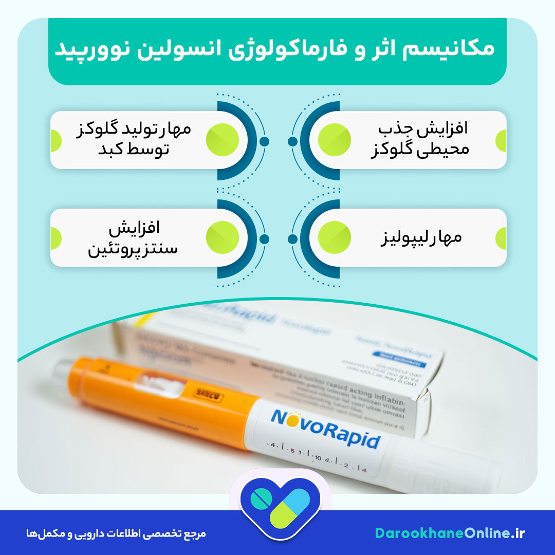 انسولین نوورپید (NovoRapid) چیست؟ موارد مصرف، نحوه تزریق، عوارض و نکات مهم + راهنمای کامل
