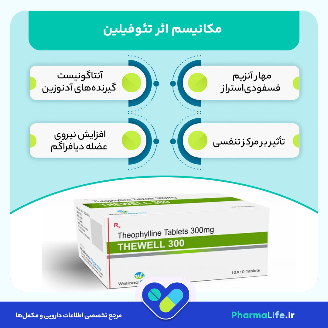 تئوفیلین چیست؟ موارد مصرف، دوز، عوارض جانبی و هشدارها + راهنمای کامل مصرف دارو