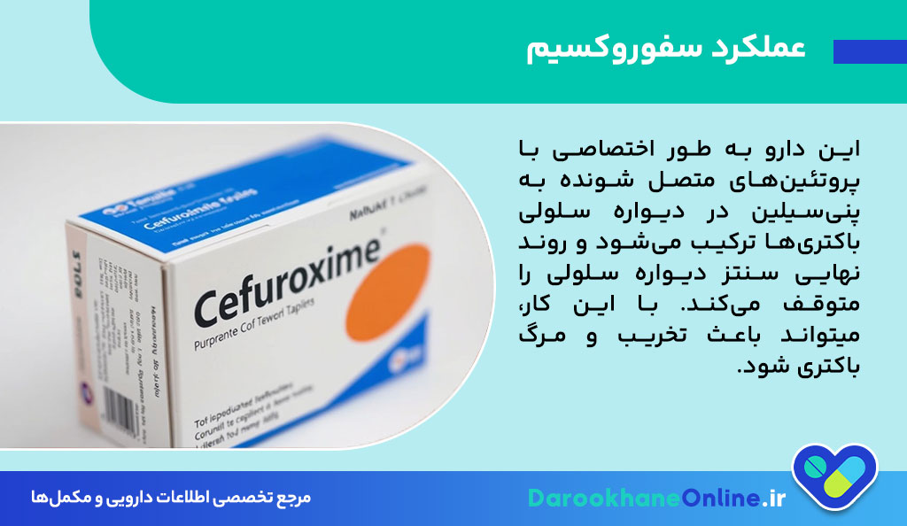 سفوروکسیم (Cefuroxime): موارد مصرف، دوز مصرفی، عوارض و نکات مهم دارویی