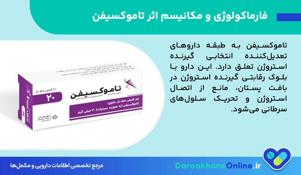 قرص تاموکسیفن چیست؟ موارد مصرف، نحوه اثربخشی، عوارض و نکات مهم درمان سرطان سینه