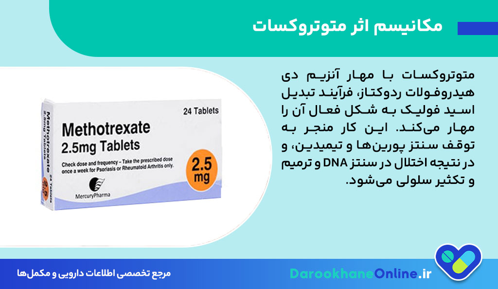 متوتروکسات چیست؟ موارد مصرف، عوارض، هشدارها و تداخل دارویی قرص و آمپول متوتروکسات در درمان سرطان و بیماری‌های خودایمنی