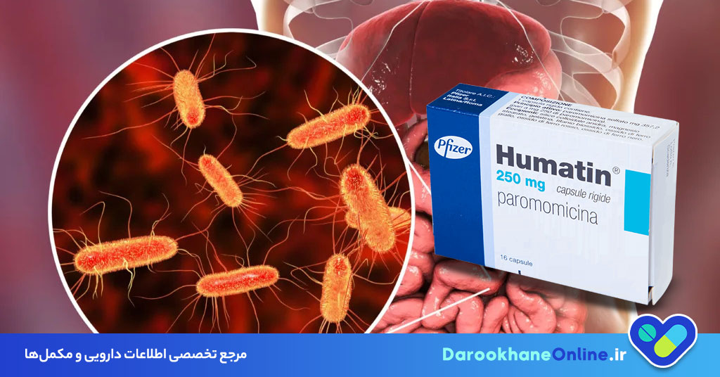 پارومومایسین چیست؟ نحوه مصرف، موارد مصرف، عوارض و نکات مهم آنتی‌بیوتیک Paromomycin