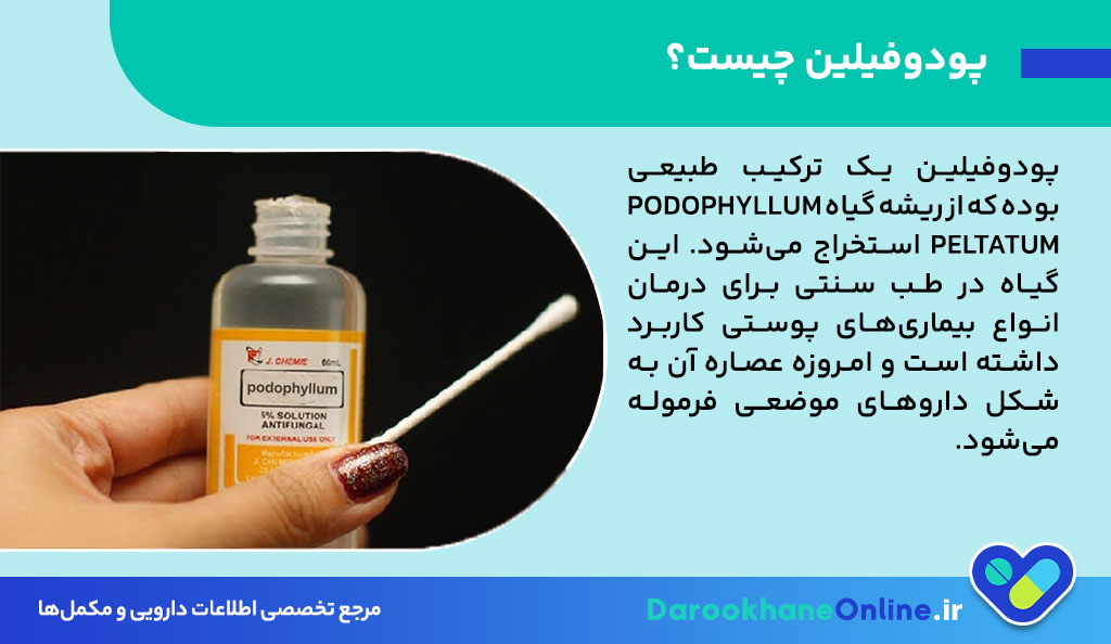 پودوفیلین چیست و چه کاربردی در درمان زگیل تناسلی دارد؟ بررسی علمی، روش مصرف و عوارض داروی Podophyllin 26 پودوفیلین چیست و چه کاربردی در درمان زگیل تناسلی دارد؟ بررسی علمی، روش مصرف و عوارض داروی Podophyllin