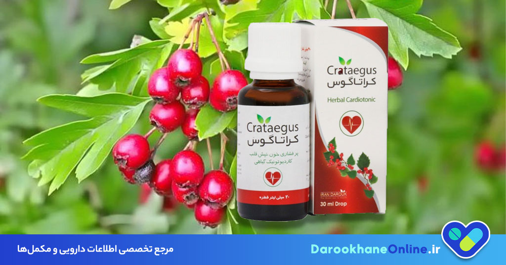 قطره کراتاگوس؛ معجزه گیاهی برای تقویت قلب و بهبود گردش خون + بررسی علمی و موارد مصرف
