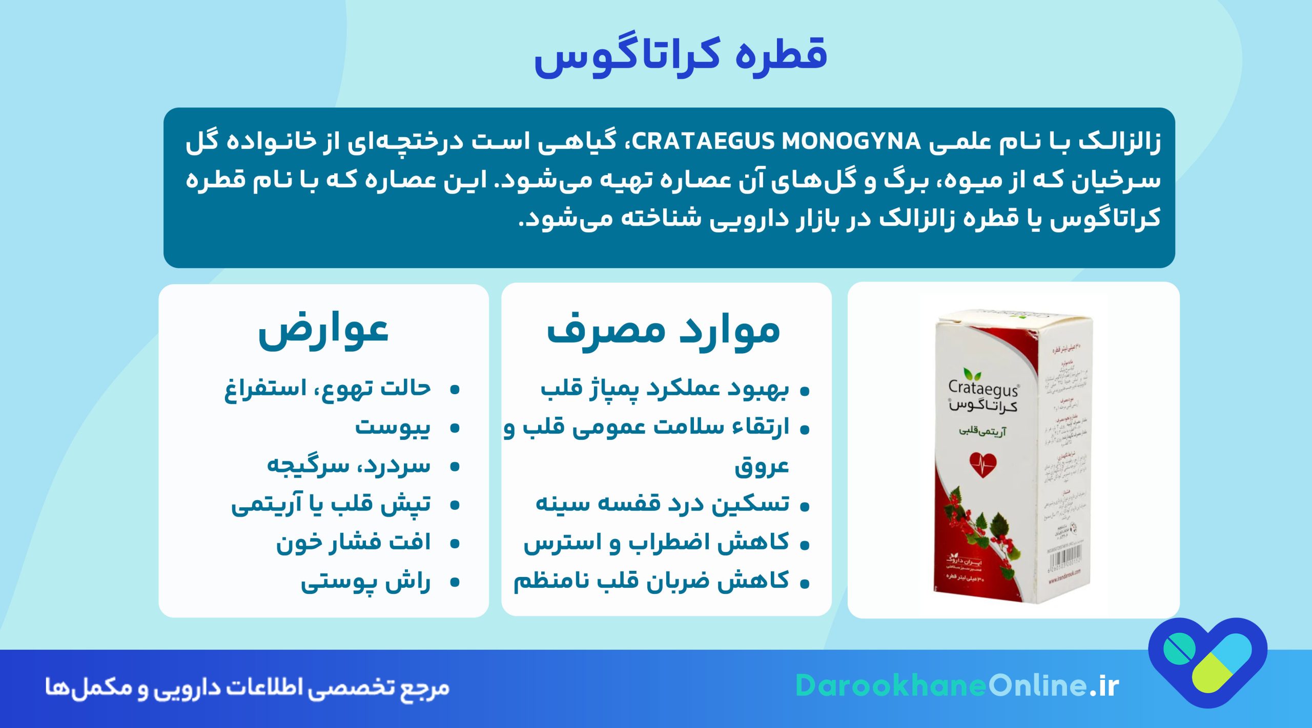 قطره کراتاگوس؛ معجزه گیاهی برای تقویت قلب و بهبود گردش خون + بررسی علمی و موارد مصرف