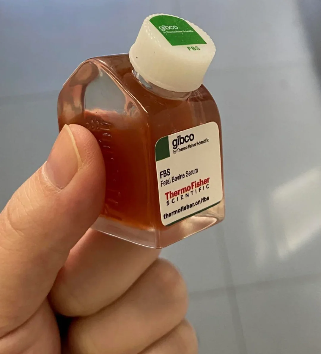 راهنمای خرید سرم جنین گاوی FBS؛ هر آنچه قبل از انتخاب Fetal Bovine Serum باید بدانید 26 سرم جنین گاوی FBS